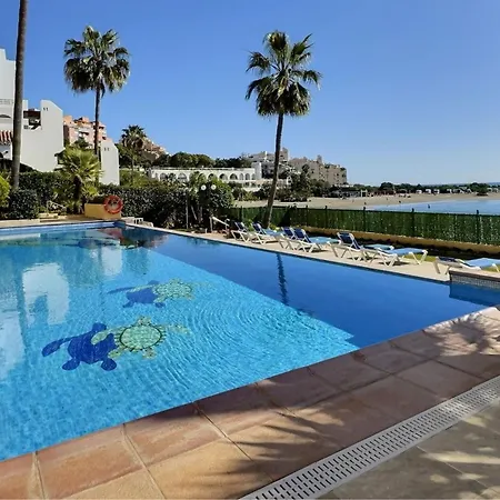 Front Line Paradise In *