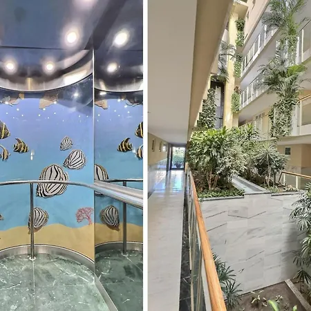 Front Line Paradise In Apartment *