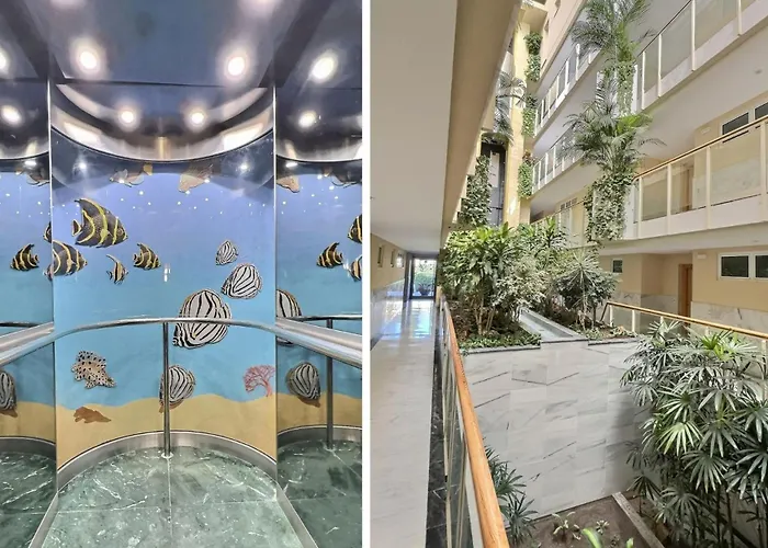 Front Line Paradise In Appartement *